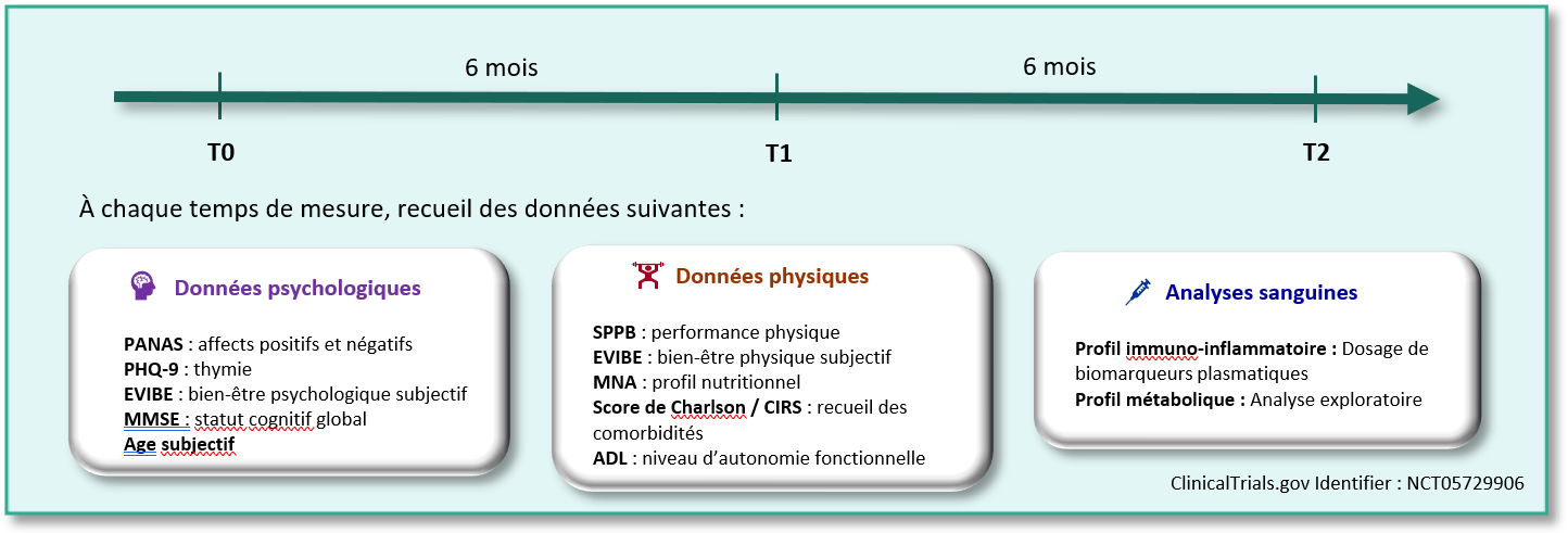 Schéma déroulement étude BIOMIND